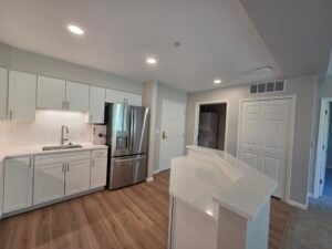 Kitchen Remodel in Ann Arbor