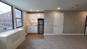 Studio Apartment Renovation in Ann Arbor
